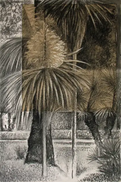 2 - Un coin du parc II Dessin au fusain  60 cm x 40 cm