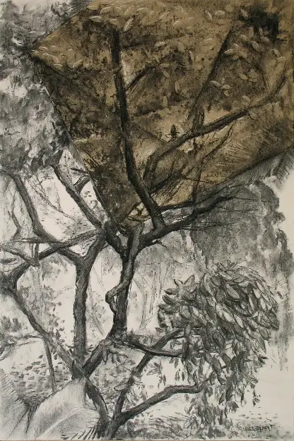 3 - Un coin du parc III Dessin au fusain 60 cm x 40 cm