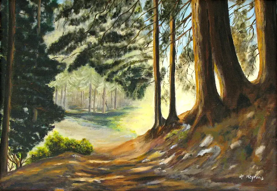 3- Sous bois au Planay huile sur toile 38 cm x 55 cm