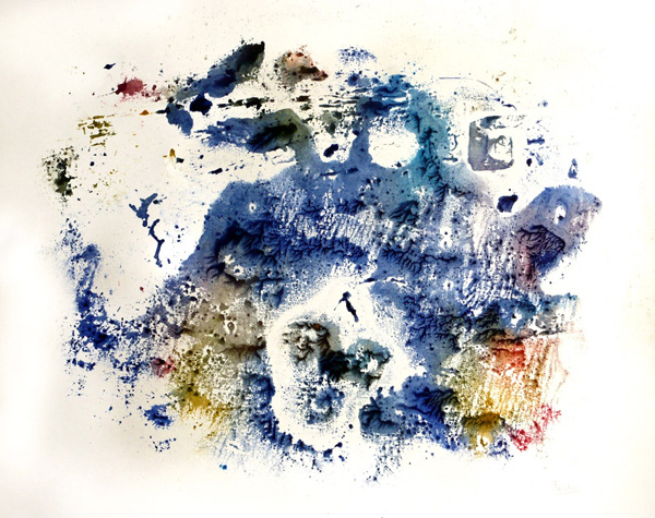 4- Breizh turtle Monotype 380 mm x 480 mm